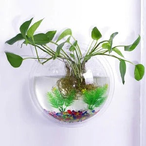 Wall-Mounted Fishbowl.